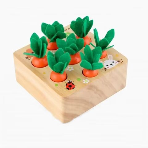 Baby Wooden Toys