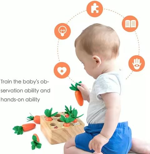 Baby Wooden Toys