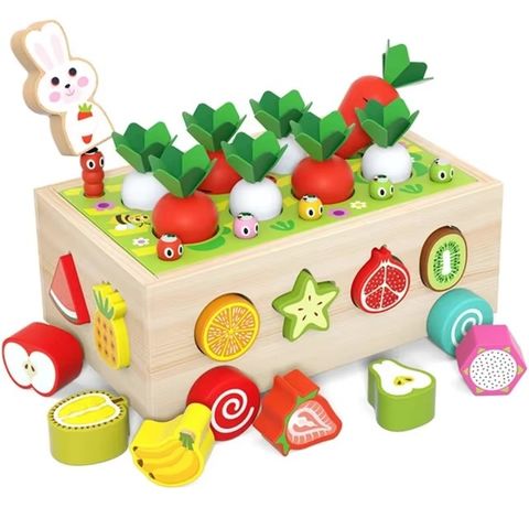 Baby Wooden Toys