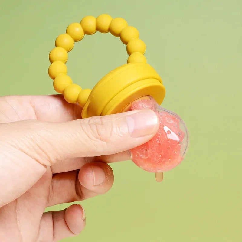 Fresh Food Feeder Pacifier